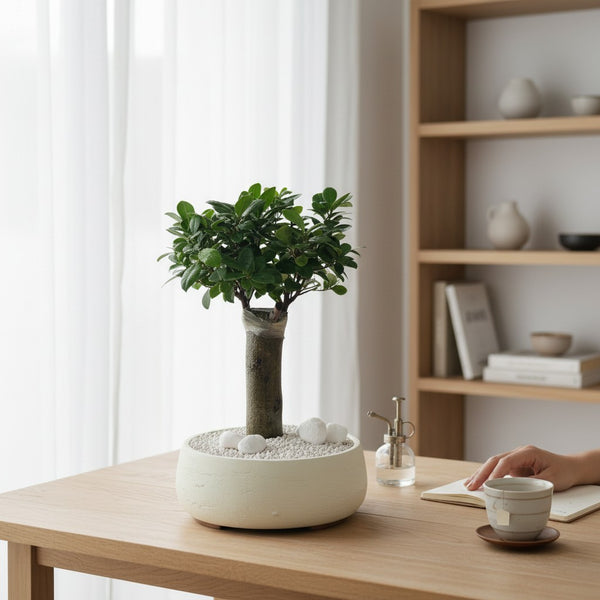 Tumbleweed Plants