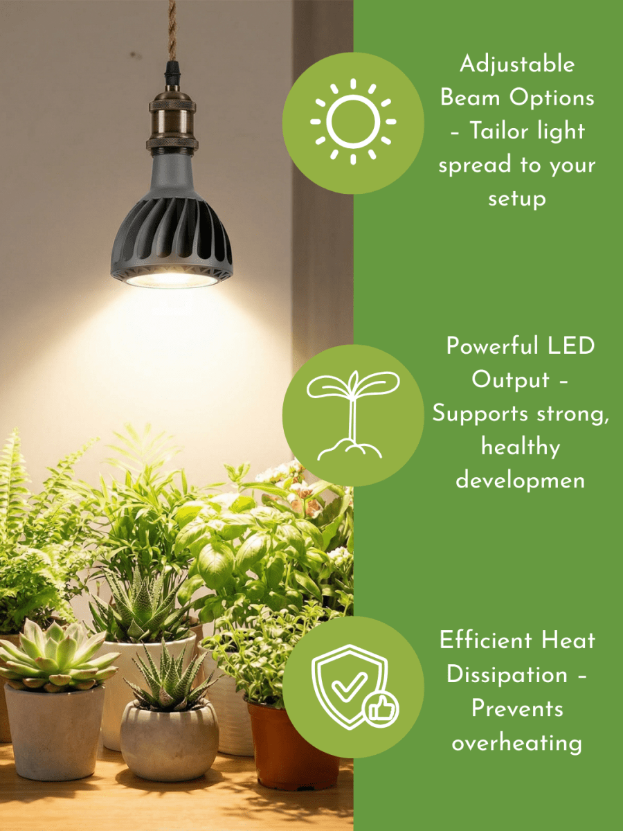 LUMI Grow Lights (Bulb E27) - Plant Lights - 5746760781470 - Tumbleweed Plants - Online Plant Delivery Singapore