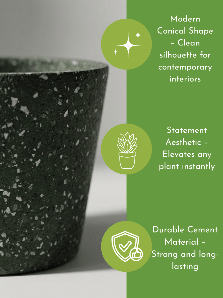 Terrazzo Pots - Pots - POT-TERR-BLC-2356 - Tumbleweed Plants - Online Plant Delivery Singapore