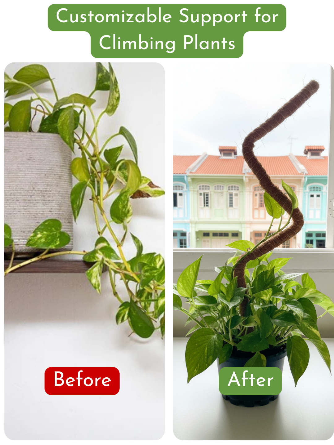 Bendable Moss Pole