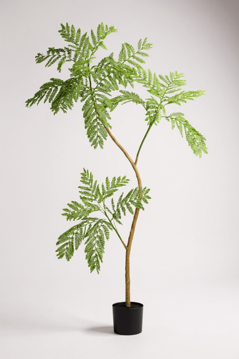 Grow Pot