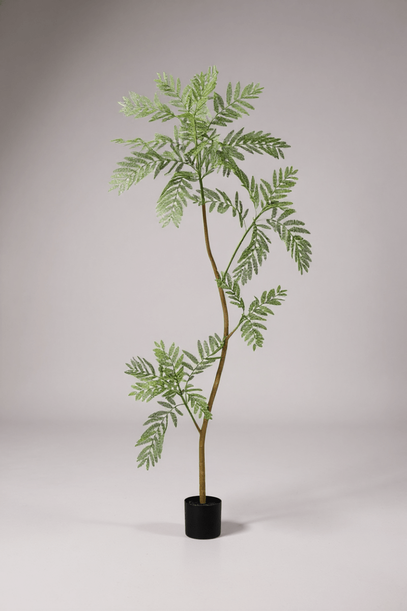 Grow Pot