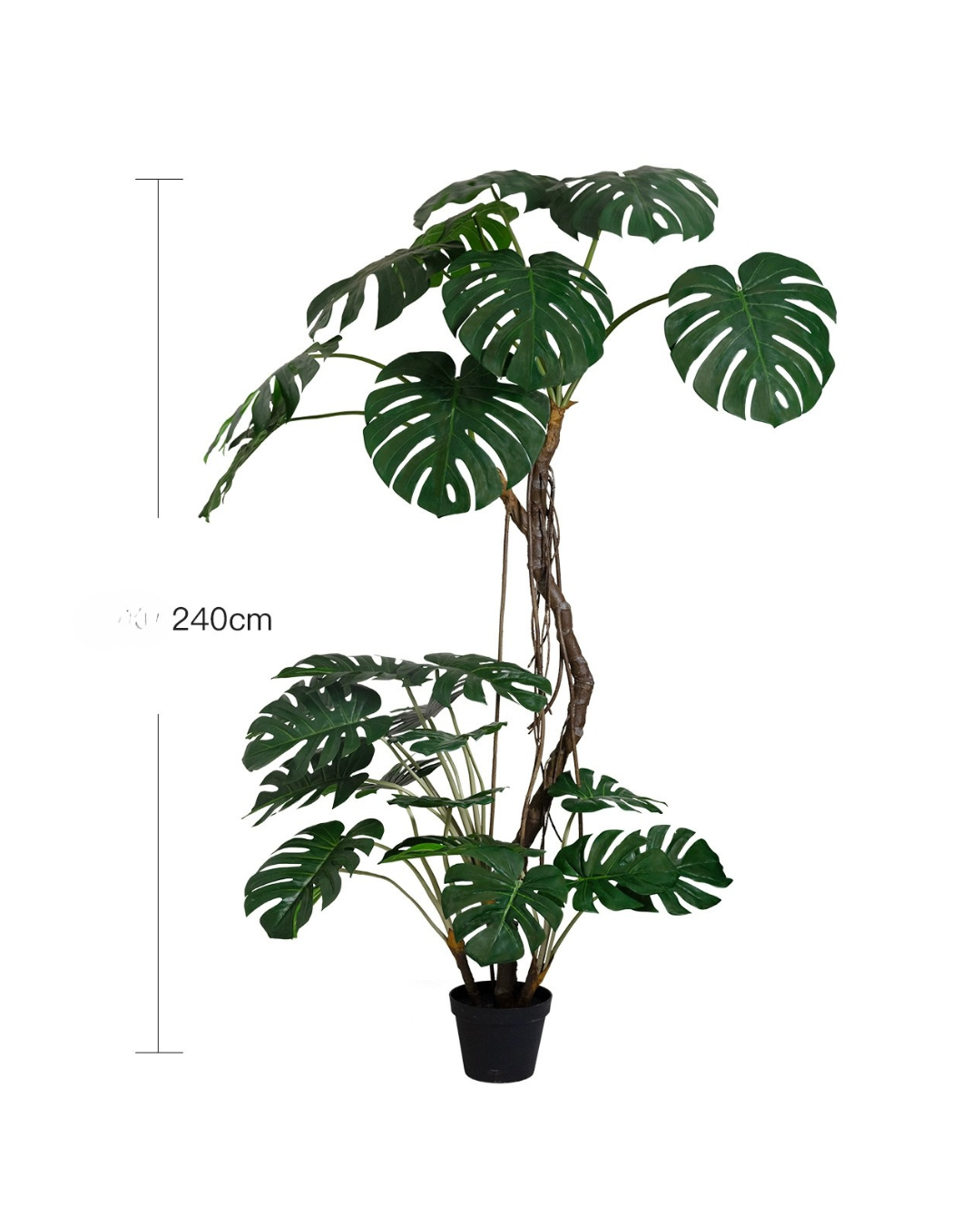 240cm