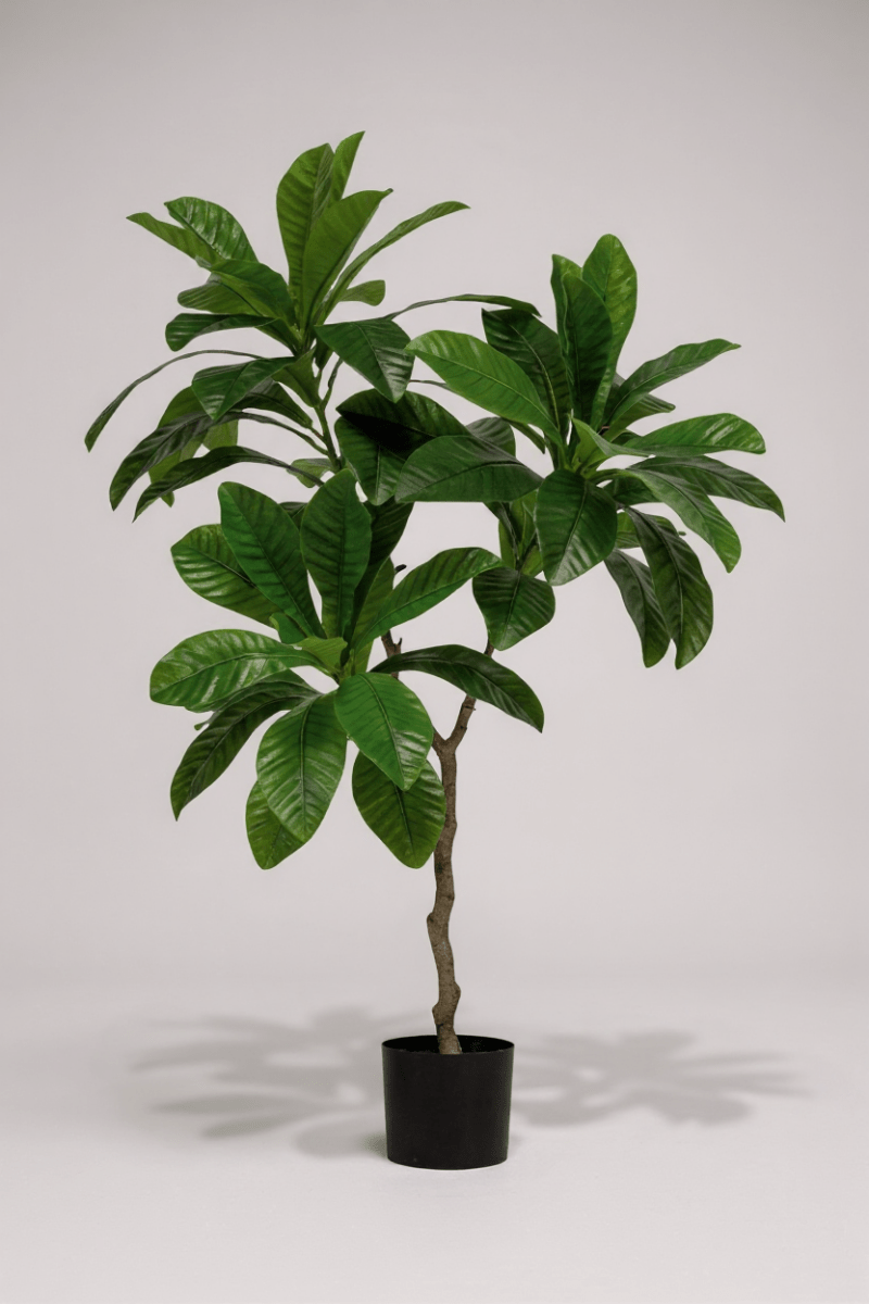Grow Pot