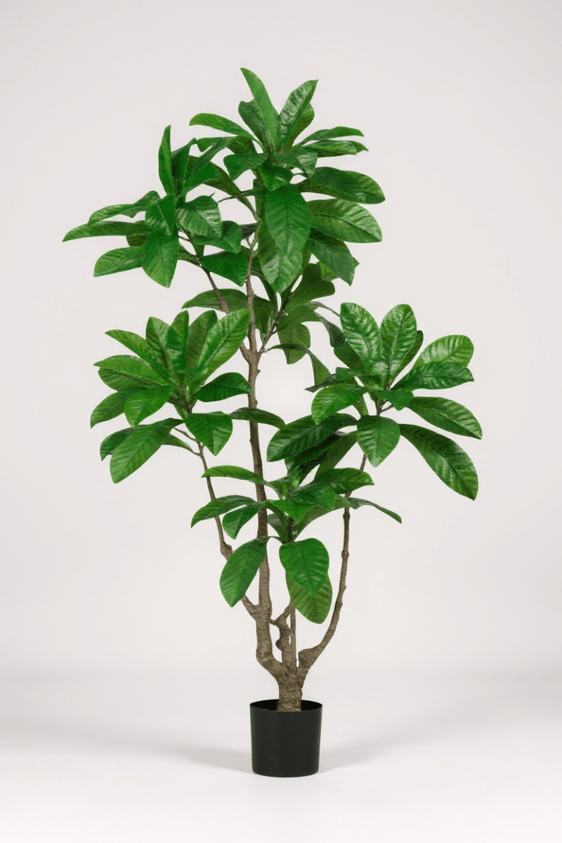 Grow Pot