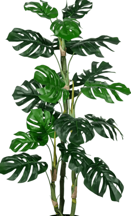 Monstera Tree (Life-life Artificial) - Potted plant - 5148161961612 - Tumbleweed Plants - Online Plant Delivery Singapore