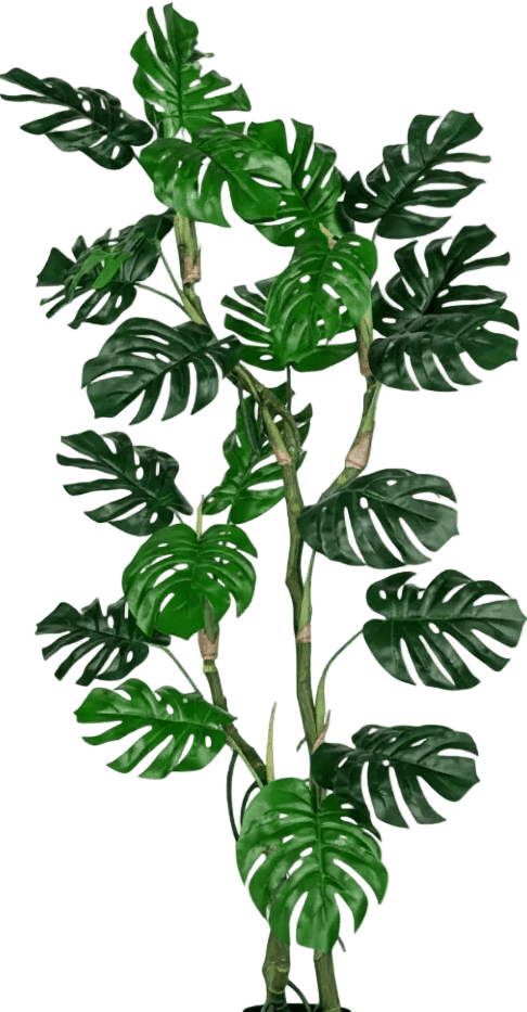 Monstera Tree (Life-life Artificial) - Potted plant - 5148161961612 - Tumbleweed Plants - Online Plant Delivery Singapore