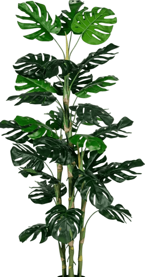 Monstera Tree (Life-life Artificial) - Potted plant - 5148161961612 - Tumbleweed Plants - Online Plant Delivery Singapore