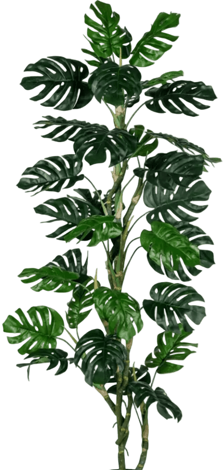 Monstera Tree (Life-life Artificial) - Potted plant - 5148161961612 - Tumbleweed Plants - Online Plant Delivery Singapore