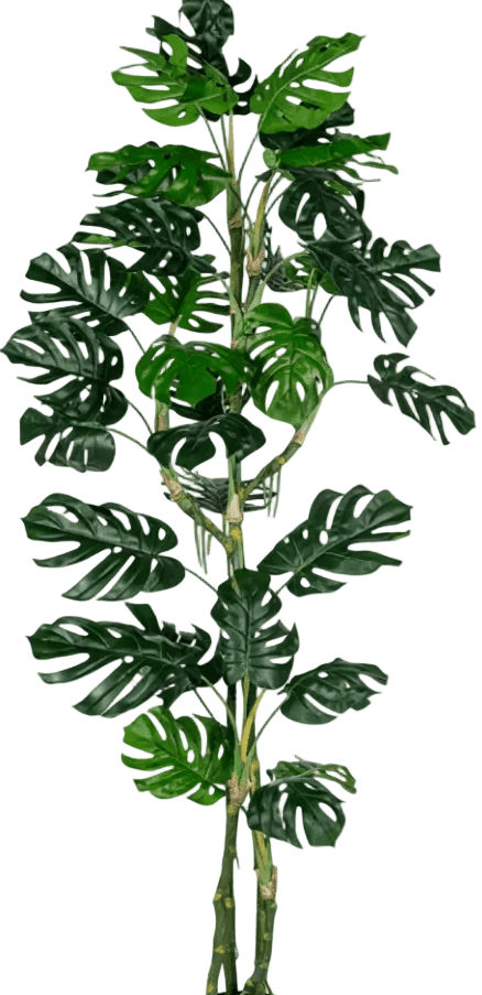 Monstera Tree (Life-life Artificial) - Potted plant - 5148161961612 - Tumbleweed Plants - Online Plant Delivery Singapore