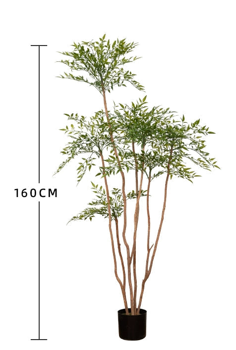 Nantian bamboo -  -  Tumbleweed Plants