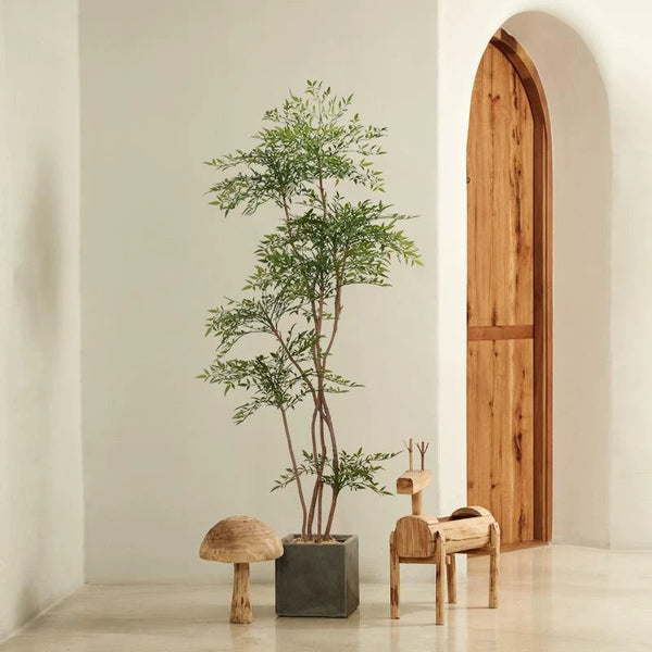 Tumbleweed Plants