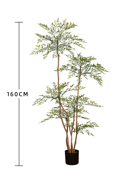 Nantian bamboo -  -  Tumbleweed Plants