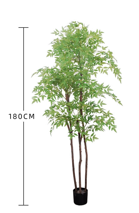 Nantian bamboo -  -  Tumbleweed Plants