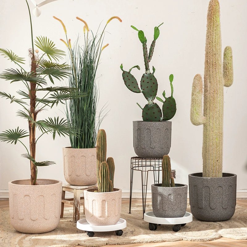 Strato Pot - Planter - 5375413661522 - Tumbleweed Plants - Online Plant Delivery Singapore