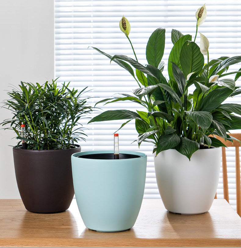 HydroEase Smart Self-Watering Pot - M