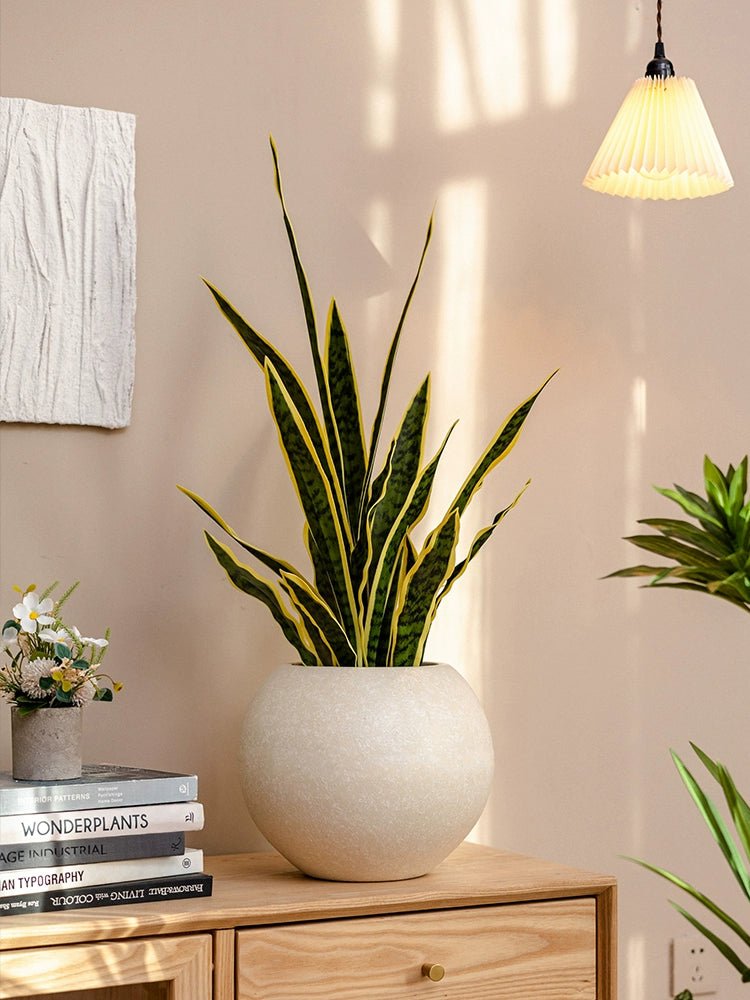 Sphere Pebble Pot - XL - Pots - 5436996335700 - Tumbleweed Plants - Online Plant Delivery Singapore