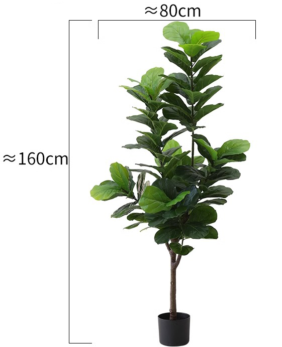 160cm