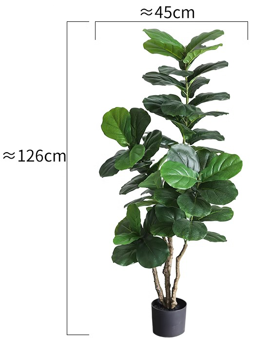 120cm