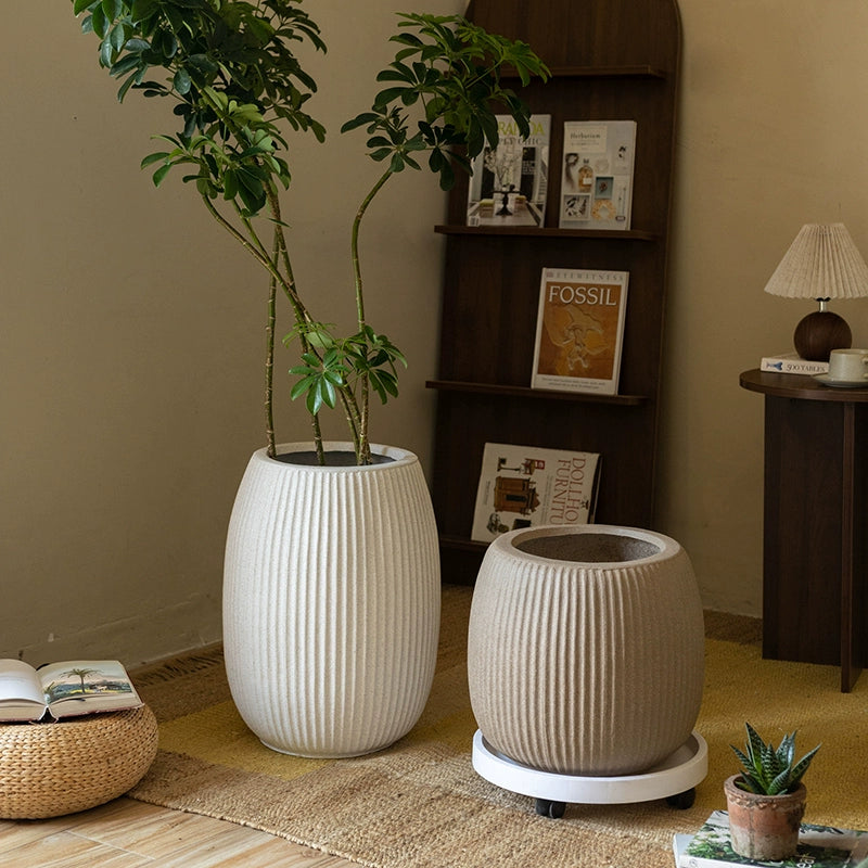Reed Planter