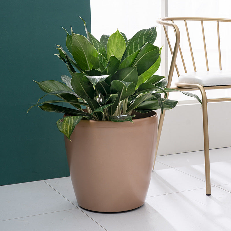 HydroEase Classic Self-Watering Pot - L