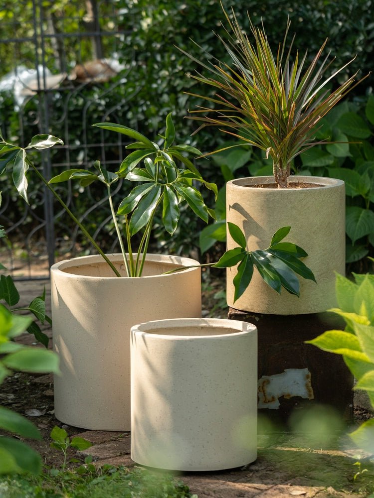 Stone Hue Pot - XL - Pots - 5812103525311 - Tumbleweed Plants - Online Plant Delivery Singapore