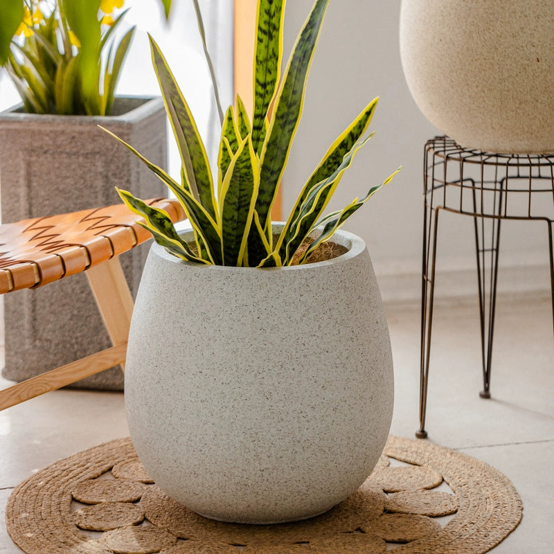 Halo Oval Pot - XL