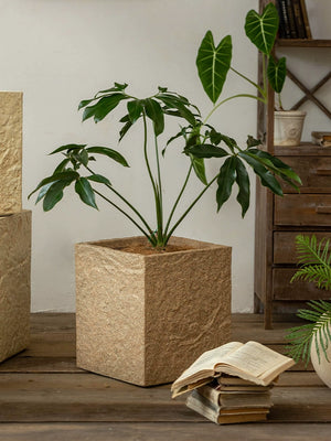 Tumbleweed Plants