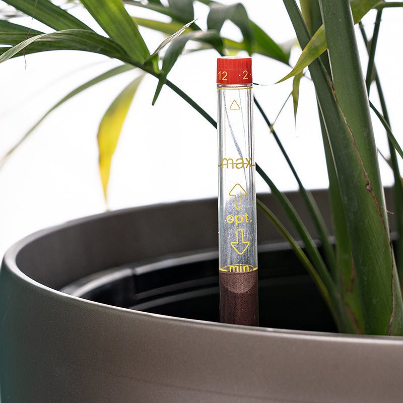 HydroEase Classic Self-Watering Pot - XL - Planter - 5684024387285 - Tumbleweed Plants - Online Plant Delivery Singapore