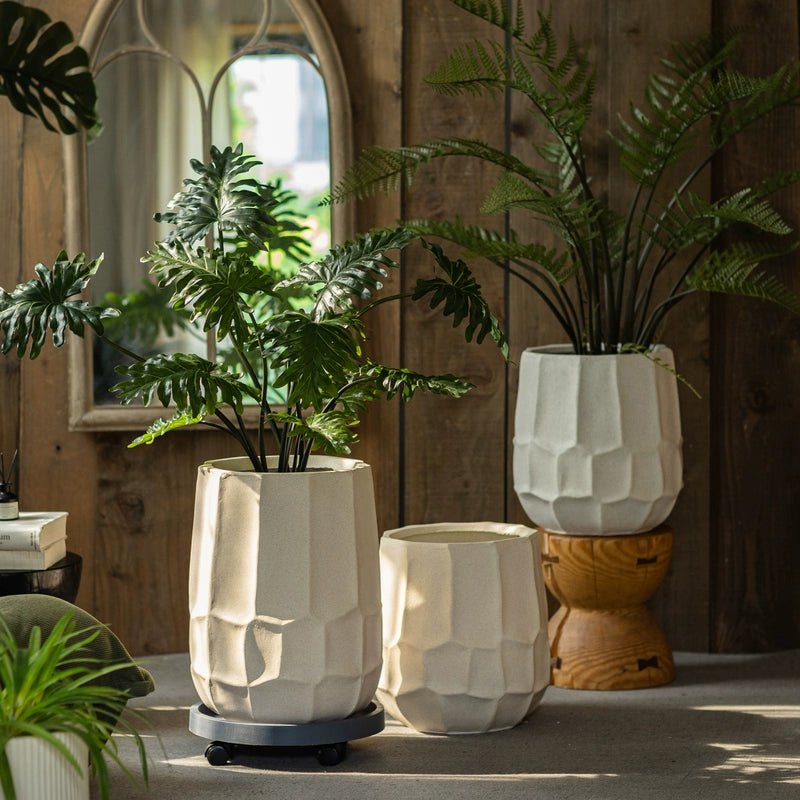 Eina Planter - Planter - 5967966363615 - Tumbleweed Plants - Online Plant Delivery Singapore