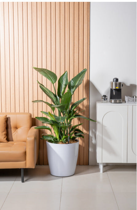 HydroEase Classic Self-Watering Pot - L