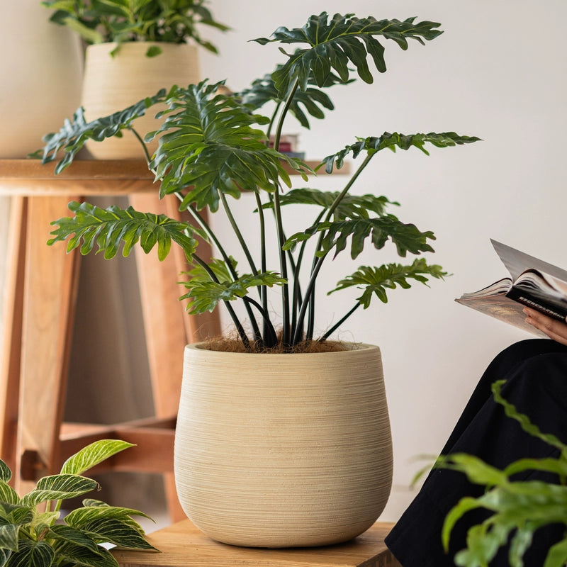 Stripes Tulip Pot - Large