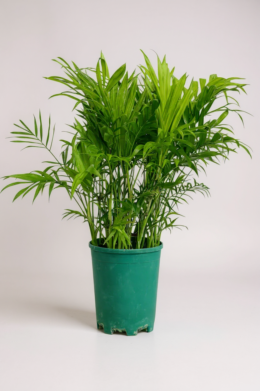 Grow Pot