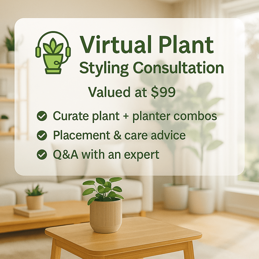 Plant Styling Consultation - Add Ons - PLAN - 5539 - Tumbleweed Plants - Online Plant Delivery Singapore