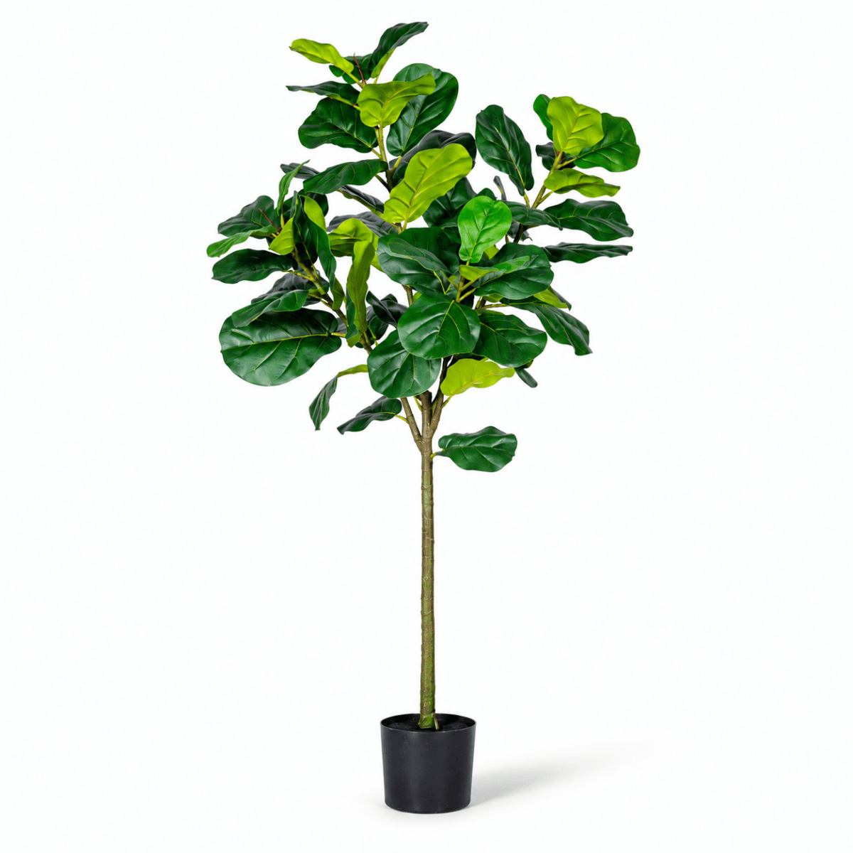 Grow Pot