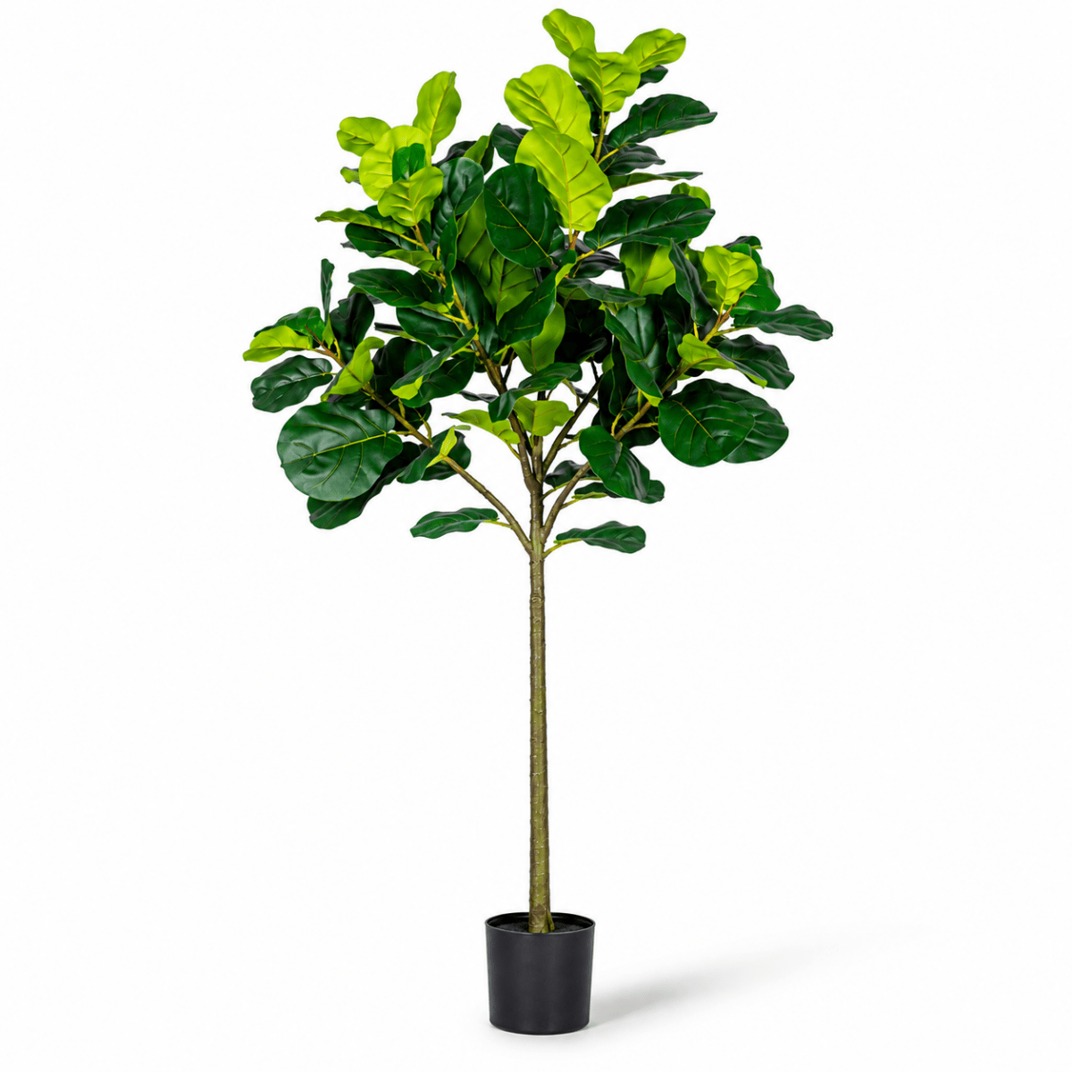 Grow Pot