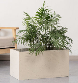 Tumbleweed Plants
