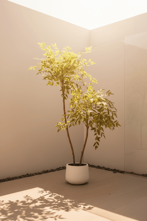 Tumbleweed Plants