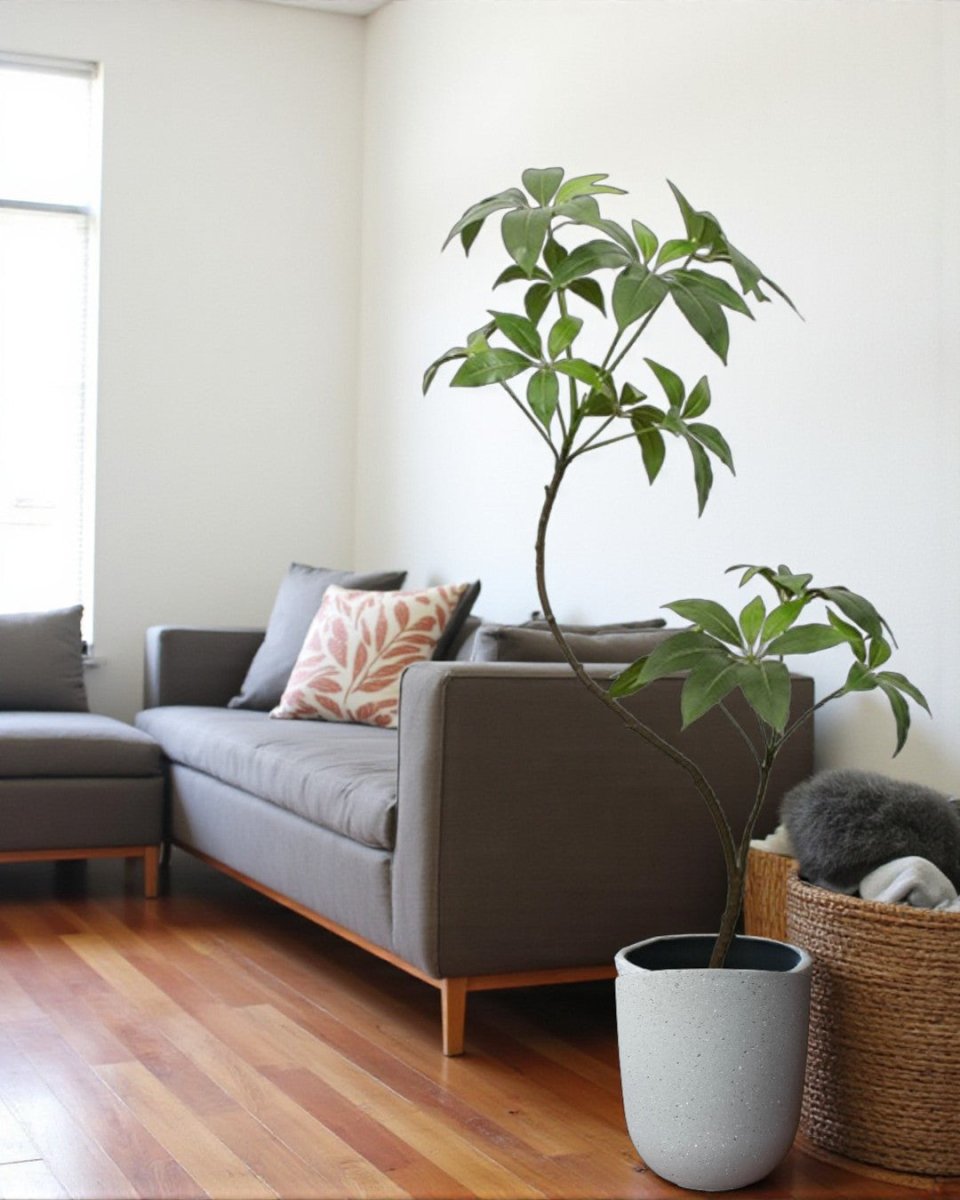 Umbrella Plant (Life-like Artificial) - Potted plant - 5205012186726 - Tumbleweed Plants - Online Plant Delivery Singapore