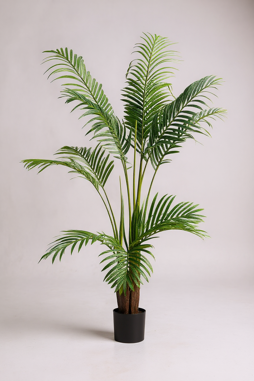 150cm - Areca Palm