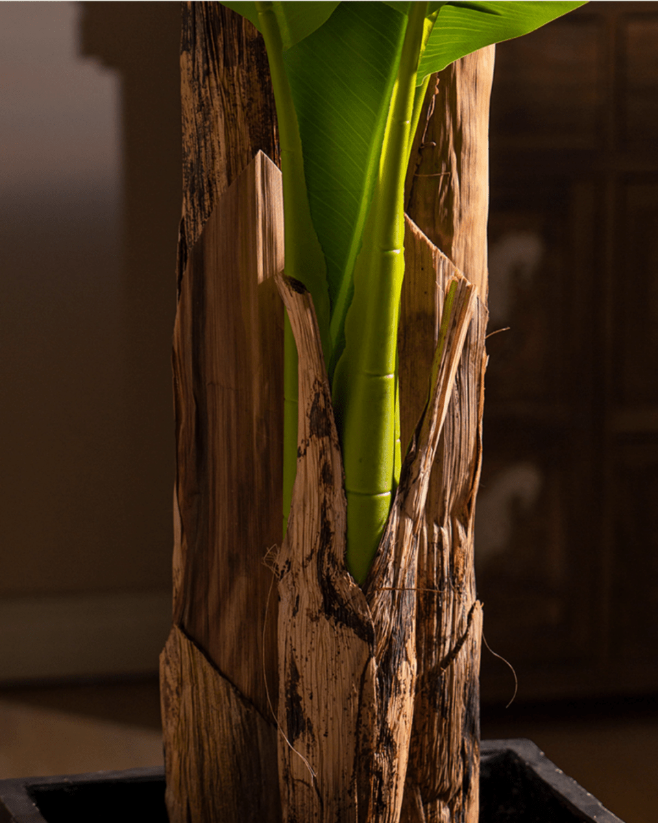 Banana Tree (Life - life Artificial) - Potted plant - 5103784103174 - Tumbleweed Plants - Online Plant Delivery Singapore