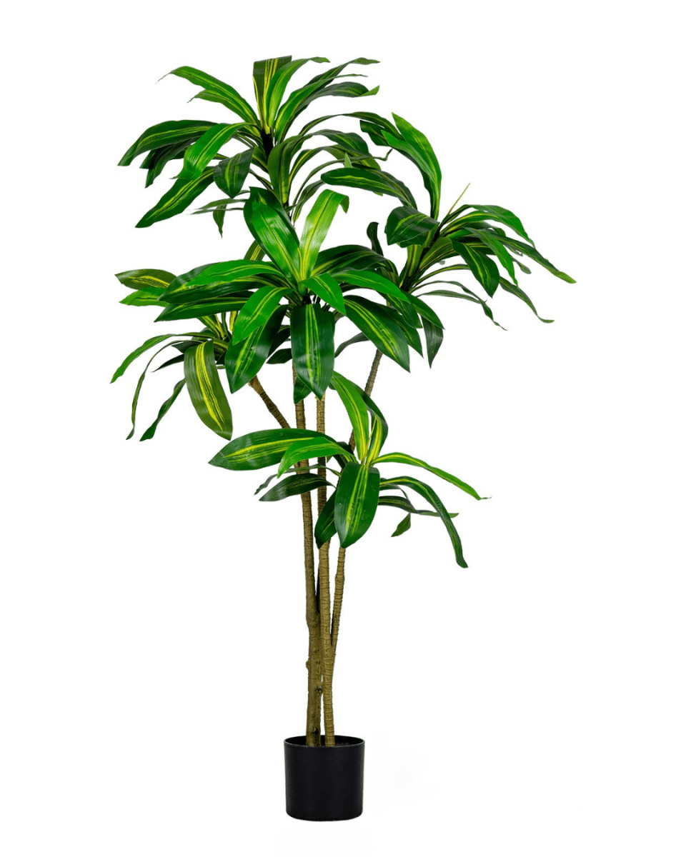 150cm