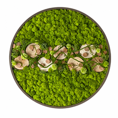 Orb Green - Preserved Plants: MOSS.