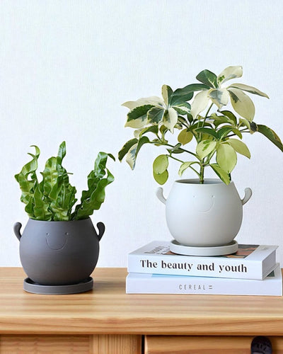 Cheer Planter