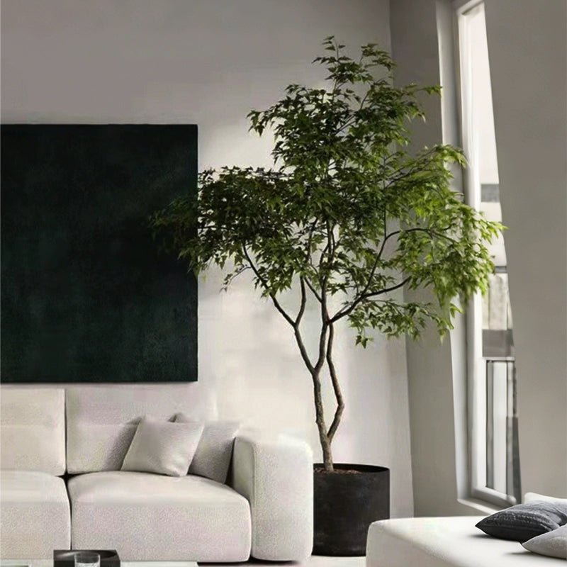 China Doll Tree - Real - Trunk Artificial - Potted plant - 5516314535781 - Tumbleweed Plants - Online Plant Delivery Singapore