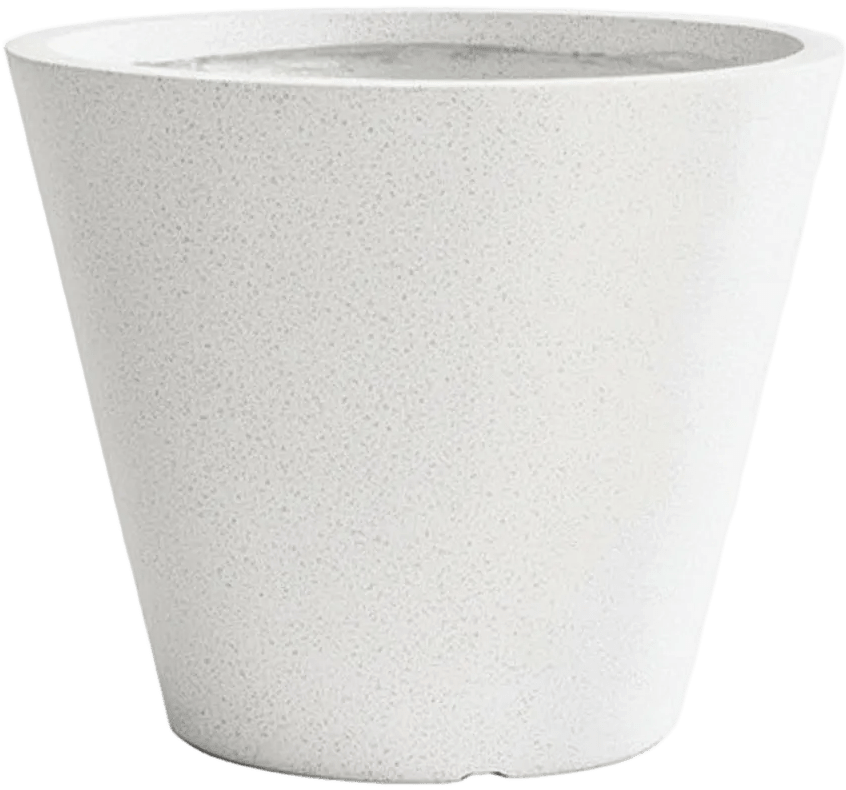 Cone Planter - XXL - Planter - PLAN-CONE-DLT-7789 - Tumbleweed Plants - Online Plant Delivery Singapore