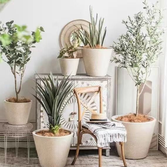 Cone Planter - Planter - 5400878841656 - Tumbleweed Plants - Online Plant Delivery Singapore