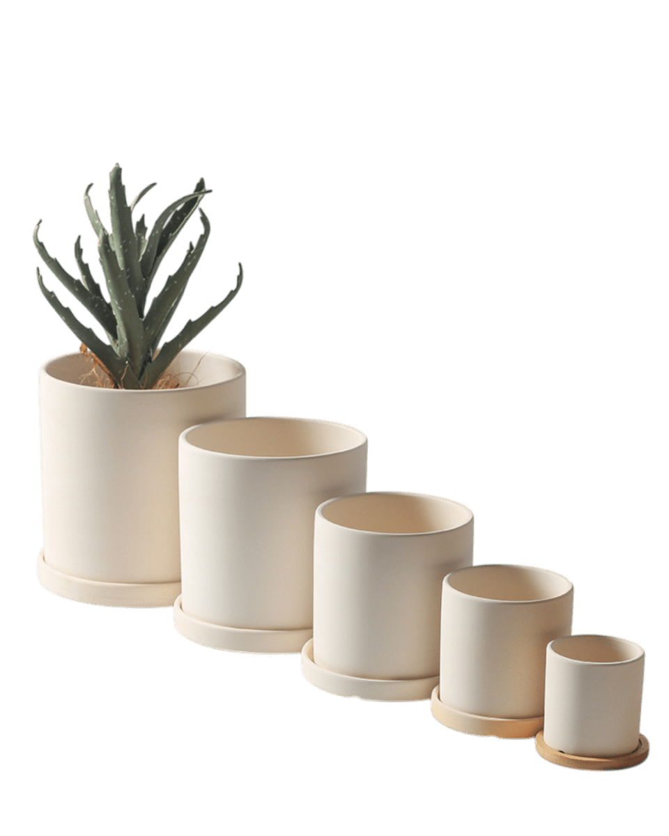 Cylinder Pot - Medium - Planter - 4763524261543 - Tumbleweed Plants - Online Plant Delivery Singapore