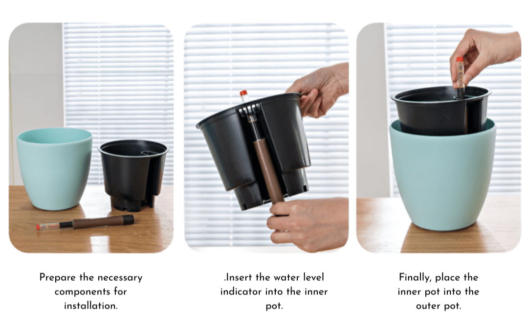 Egg Stoneblast - HydroEase Pot - Pots - 5699291975885 - Tumbleweed Plants - Online Plant Delivery Singapore