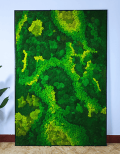 Frame - Preserved Plants: MOSS. - Moss Frame - 6024021051232 - Tumbleweed Plants - Online Plant Delivery Singapore